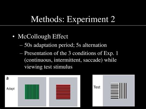 Saccades Actively Maintain Perceptual Continuity Ppt Download