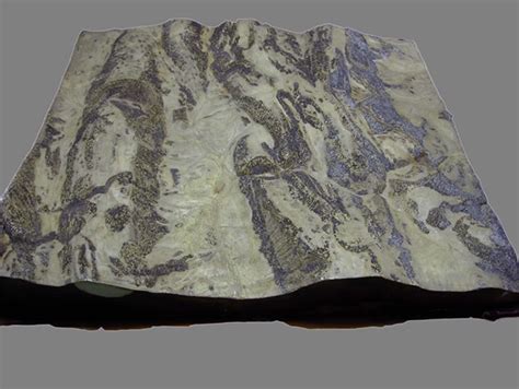 Relief Maps Earth Science Collections Eth Zurich