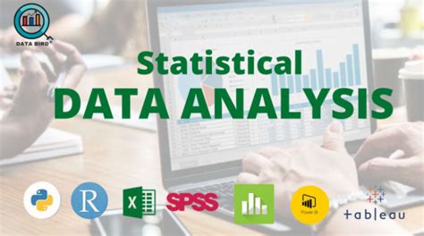 15ghana I Will Do Statistical Data Analysis Using Excel Spss R Python