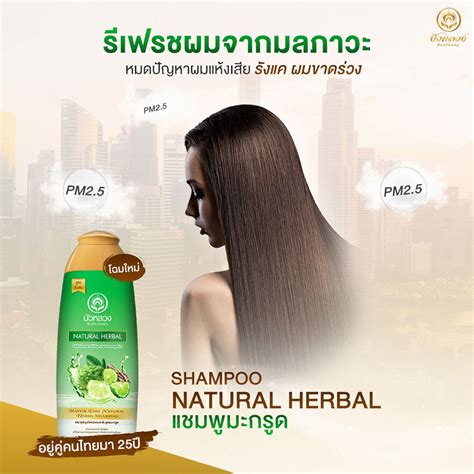 Bualuang Kaffir Lime Shampoo Ml