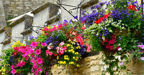 Hanging Baskets Benholm