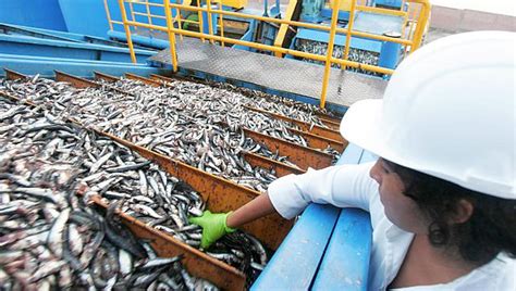 Sociedad Nacional De Pesquer A Aplicar Autovedas De Pesca Economia