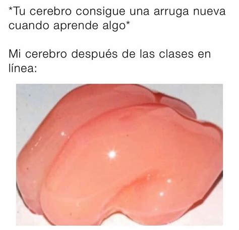 Tu Cerebro Consigue Una Arruga Nueva Cuando Aprende Algo Mi Cerebro