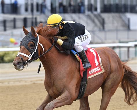 Drum Roll Please Will Point To Withers Cox Says