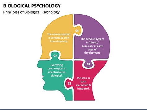 Biological Psychology Examples