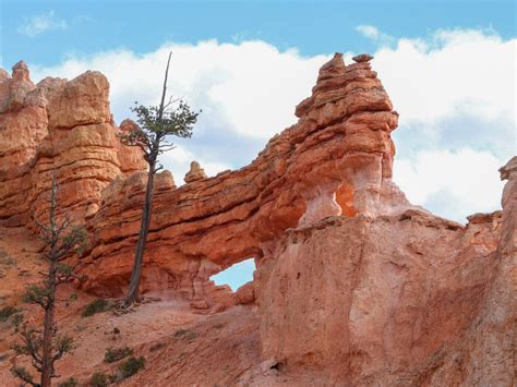 Mossy Cave Trail Utah Hiking Beauty