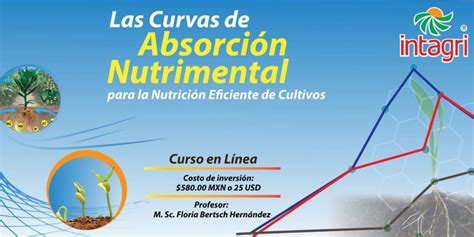 Las Curvas de Absorción Nutrimental para la Nutrición Eficiente de