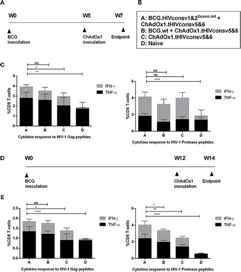 Frontiers Priming With Recombinant BCG Expressing Novel HIV 1