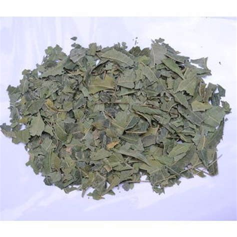 Green Dry Herbal Neem Leaves Medicine Grade Packaging Size Kg Per