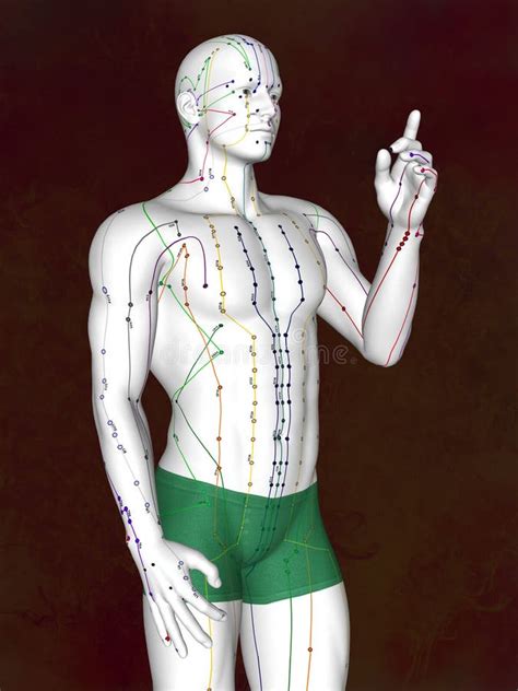 Akupunktur Vorbildliches M Pose G Modell D Stock Abbildung