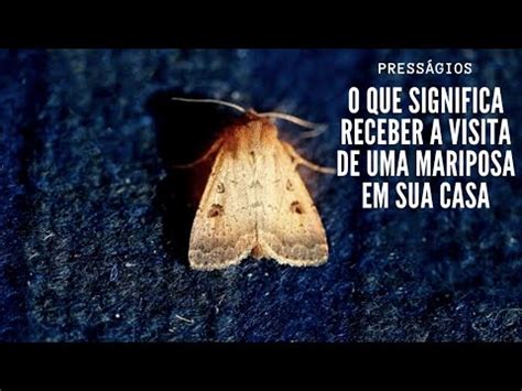 O Que Significa Receber A Visita E Uma MARIPOSA Em Sua Casa YouTube