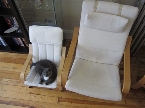 Literally Just A Bunch Of Photos Of Cats Sitting In Tiny Chairs Cat