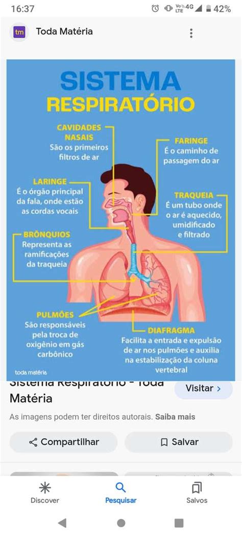 Respiratorio Rompecabezas En L Nea