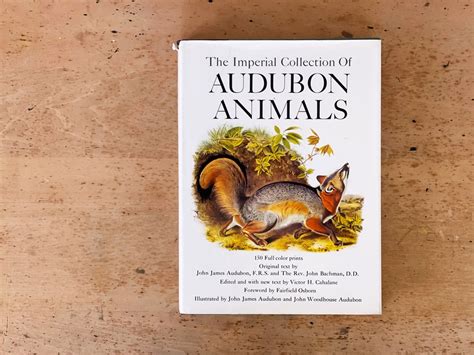 Vintage Animal Book Imperial Collection of Audubon Animals - Etsy