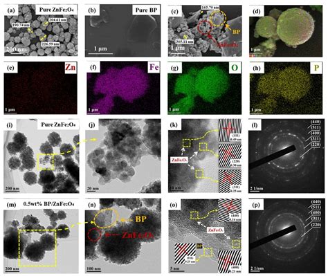 Sem Images Of A Pure Znfe O B Pure Bp And C Wt