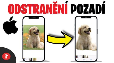 Jak Odstranit Pozad Obr Zku Na Iphonu N Vod Iphone Telefon