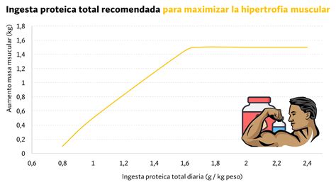 Calculadora De ProteÍnas Para Ganar Masa Muscular