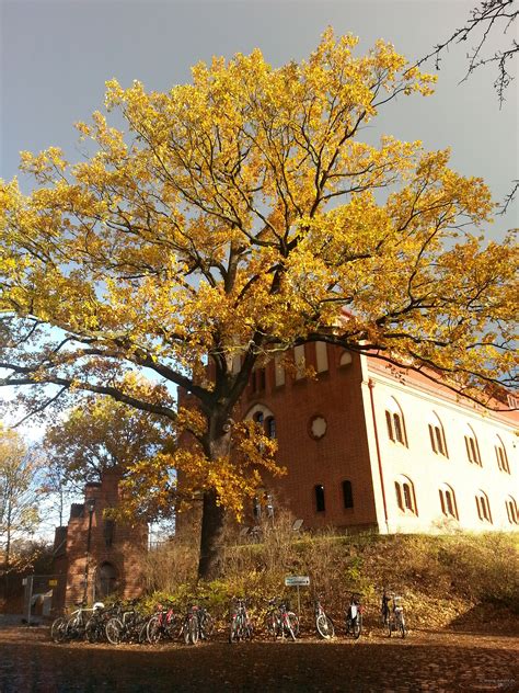 Urban Nature - Seeing Nature