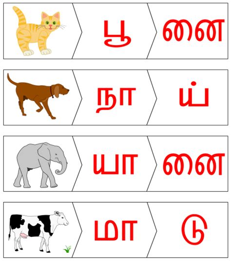 Pin On Tamil Worksheets And Learning S