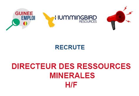 Kouroussa Golde Mine Recrute Directeur Des Ressources Minerales H F Y