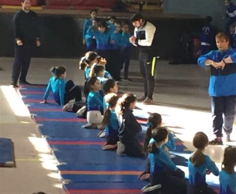 Encuentro De Gimnasia Art Stica Femenina Colegio Compa A De Mar A