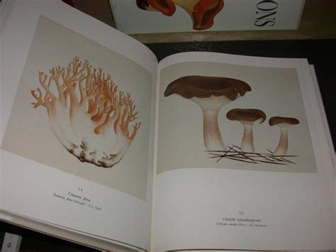 Les Champignons Complet Du Fascicule Avec 8 Planches En Couleurs Par