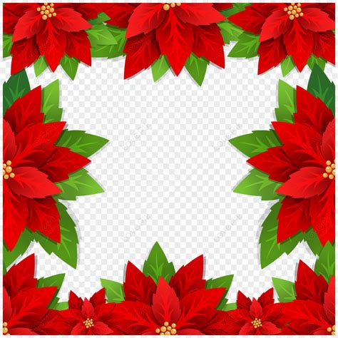 Christmas Poinsettia Flower Border Red Plant Poinsettia Day Herb Png Hd