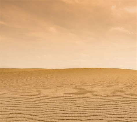 Landscape Sand Desert Dune Sahara Material Habitat Natural