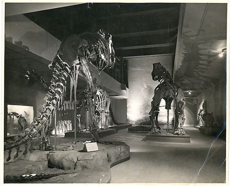 Historic Dinosaur Hall, sometime in the 1950s. Image © Carnegie Museum ...