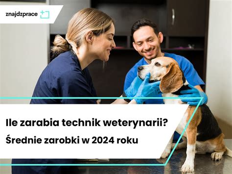 Ile zarabia technik weterynarii Średnie zarobki w 2024 roku ZnajdzPrace