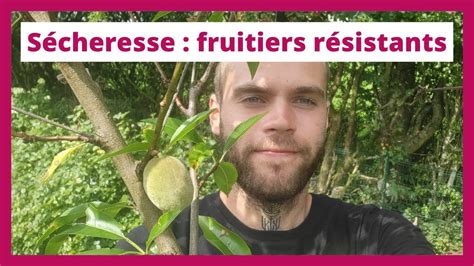 Arbres et arbustes fruitiers résistants à la sécheresse et au froid