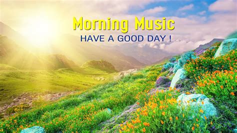 The Best Good Morning Music Wake Up With Positive Energy Morning