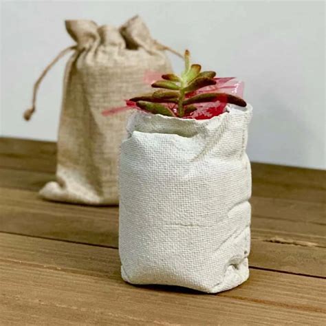 Diy Burlap Bag Concrete Planter Artsy Pretty Plants