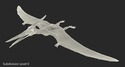 3D Pteranodon Flying Carnivorous Reptile Model TurboSquid 1435776