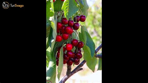 Burcei E I Suoi Colori Sardegna Youtube