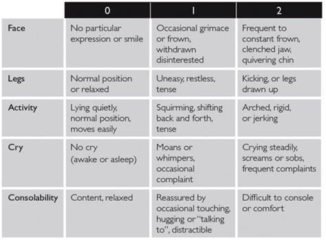 Behavioral Pain Scale - Dunia Belajar