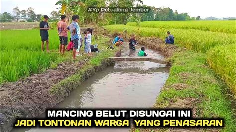 Bikin Geger Mancing Belut Dispot Sungai Ini Sampai Jadi Tontonan