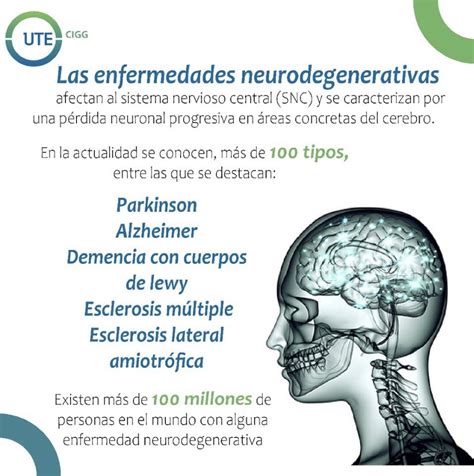 Espectro Renunciar Nutrici N Cuales Son Las Enfermedades Del Sistema