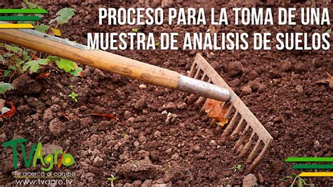 Proceso para la Toma de una Muestra de Análisis de Suelos TvAgro por