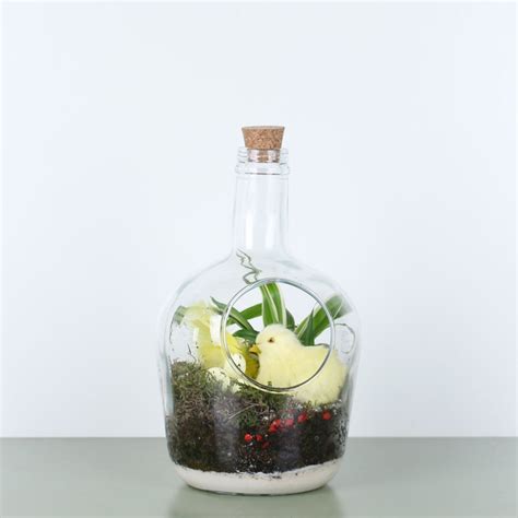 Флорариум в банке - заказать и купить комнатные растения с доставкой ...