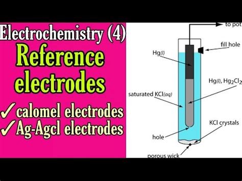 Reference Electrode Calomel Electrode Bsc 2nd Year Physical Chemistry