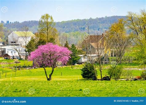 Amish Country Farm Home And Barn On Field Agriculture In Lancaster