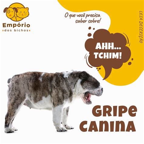 🐕 Gripe canina,... - Empório dos Bichos Clínica Veterinária