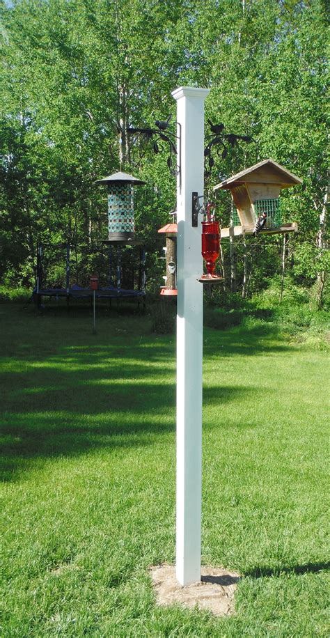 4 ways to keep squirrels off your bird feeder – Artofit