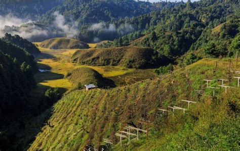 Talley Valley Wildlife Sanctuary - Arunachal Pradesh - India