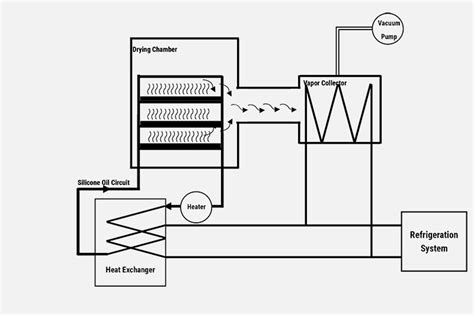 Freeze Drying Theory - Vikumer Freeze Dry