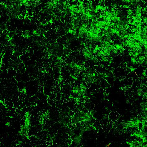 Inmunofluorescence – Galenica