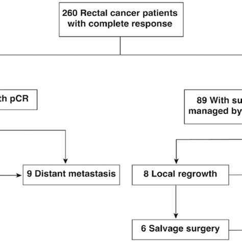 Schematic Illustration Of The Study Ccr Clinical Complete Response