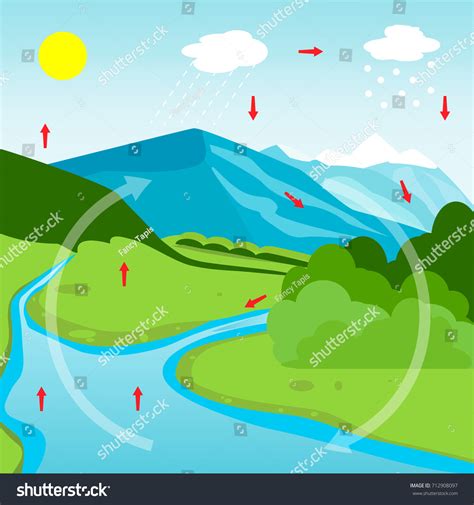 Water Cycle Diagram Stock Illustration 712908097 | Shutterstock