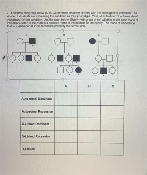 Solved The Three Pedigrees Below A B C Are Three Chegg